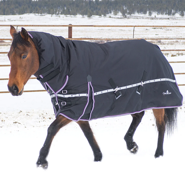 XTrainer BK Hood10 Blanket - Winter Protection for Horses