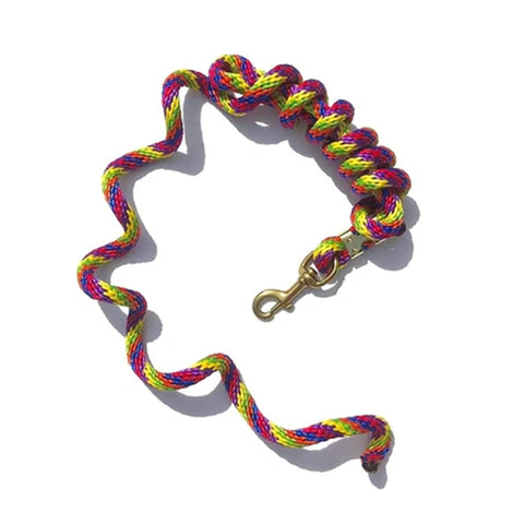 Flat lay of multi colored lead rope. 