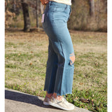 Vervet Blue Grey 90's Distressed Crop Jeans