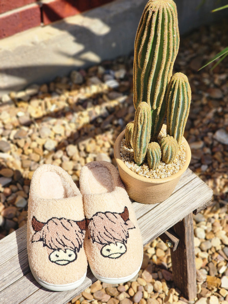 Women's Highland Cow Slippers