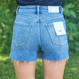 Vervet High Rise Aline Shorts
