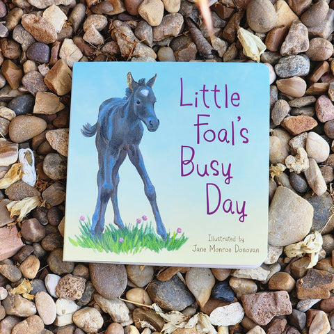 Little Foal Book