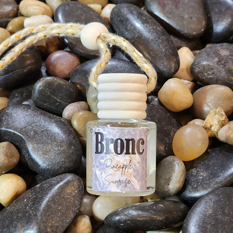 "Bronc" Western Car Diffuser