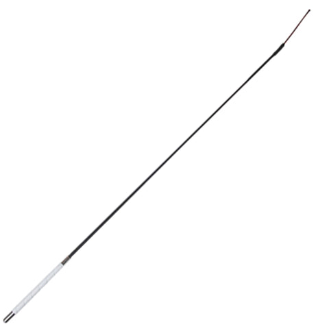 Diagonal view of long whip. 