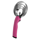 Stainless Steel Curry Comb