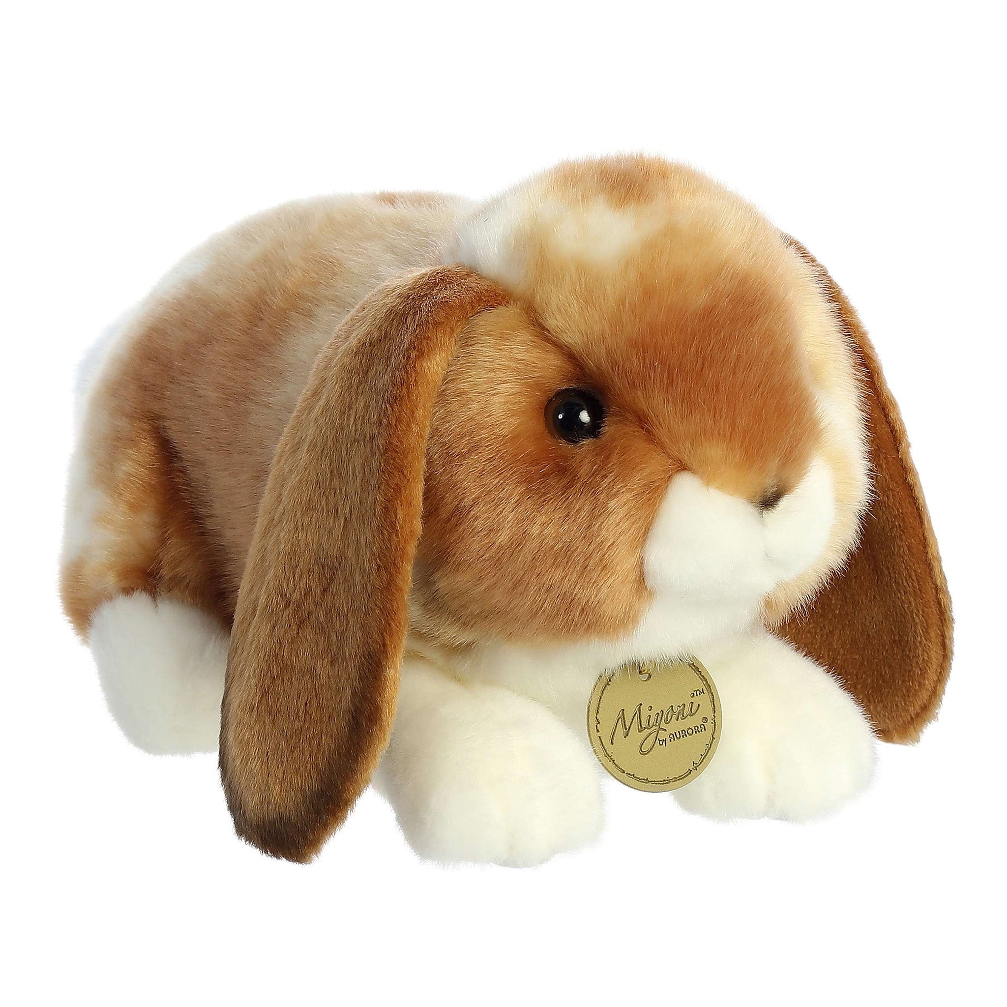 Full Grown Mini Plush Lop Aurora Realistic Miyoni Holland Lop