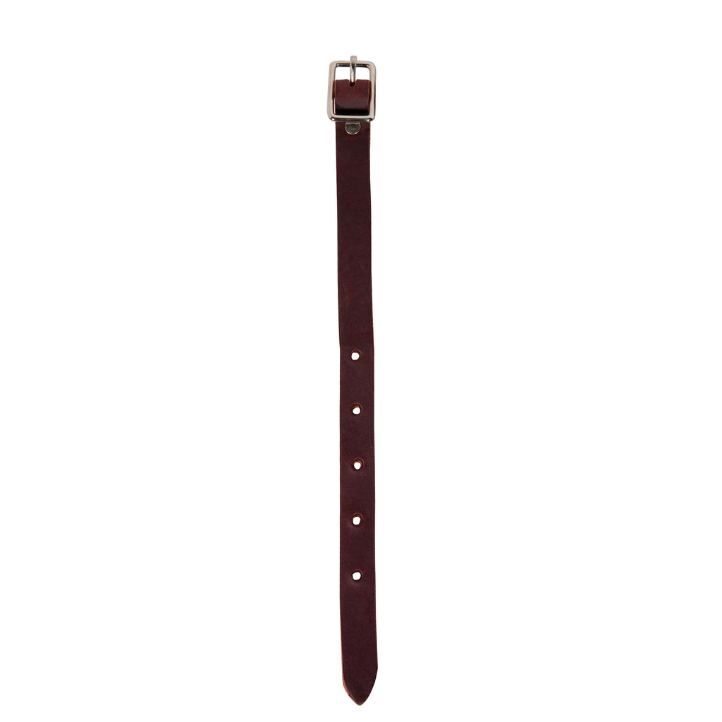 Brown leather stirrup hobble with silver buckle on a white background