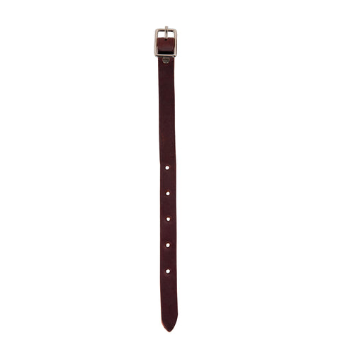Brown leather stirrup hobble with silver buckle on a white background