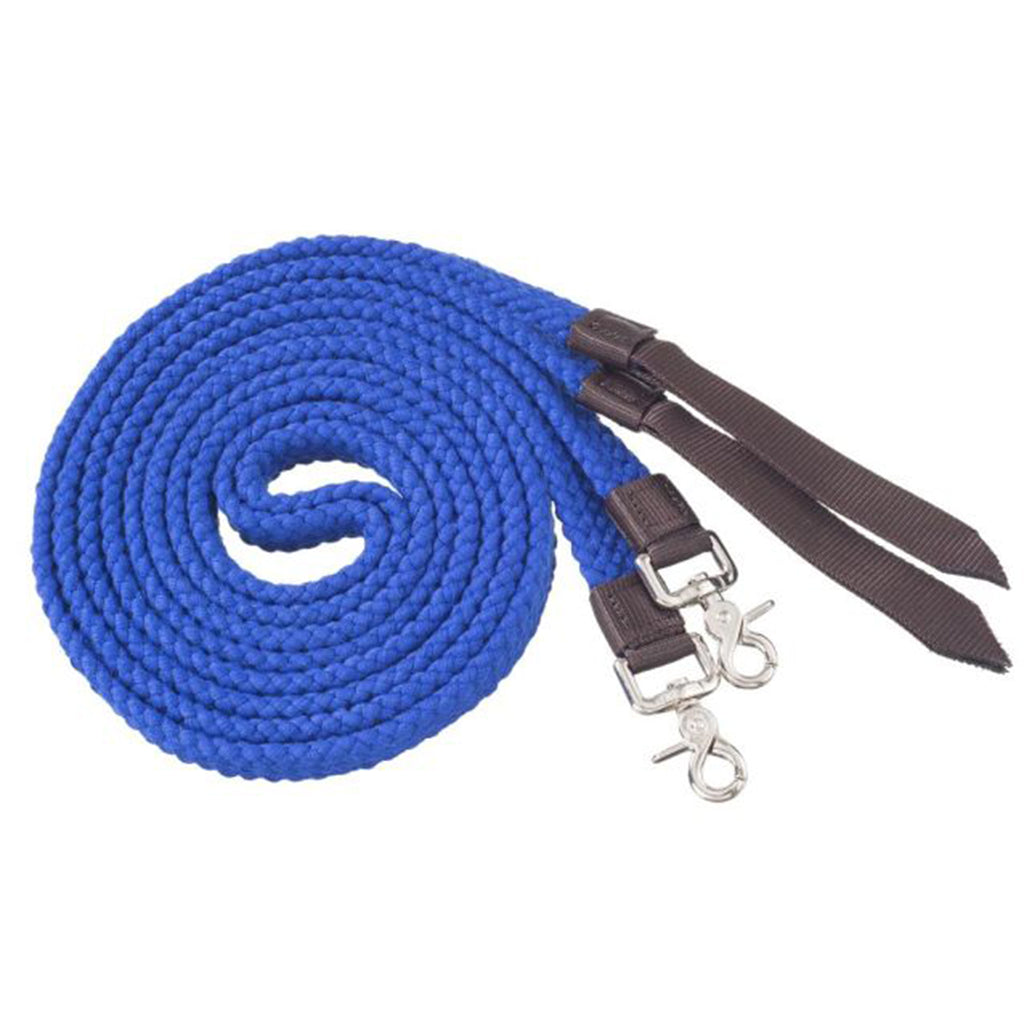 Flat lay view of coiled up reins. 
