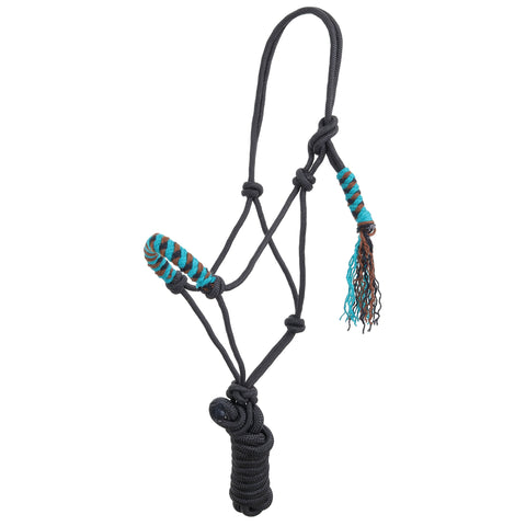 Black mohair lead with brown, teal, and black noseband.