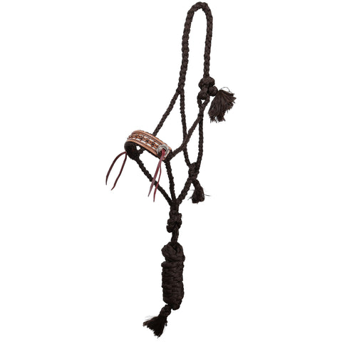Full view of Showman Cow Camp Mule Tape Halter