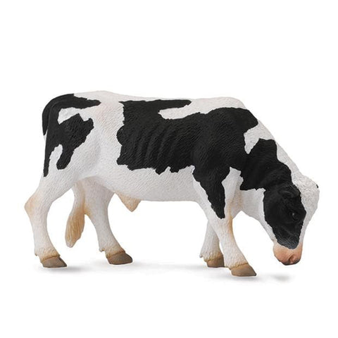 Black and White Bull