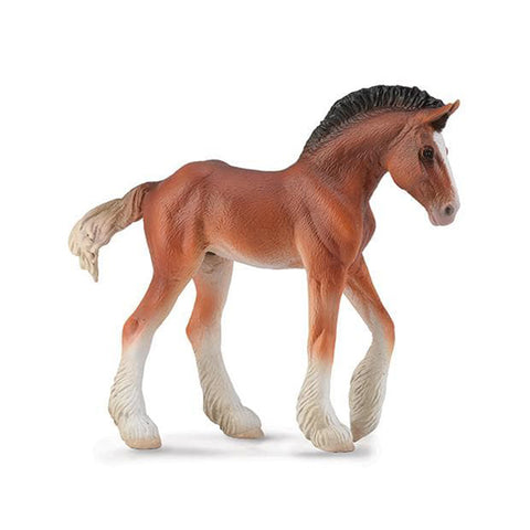 Bay Clydesdale Foal