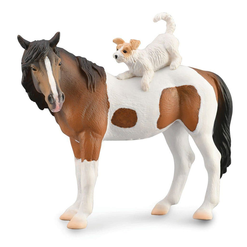 brown and white mare horse with terrier dog on it's back