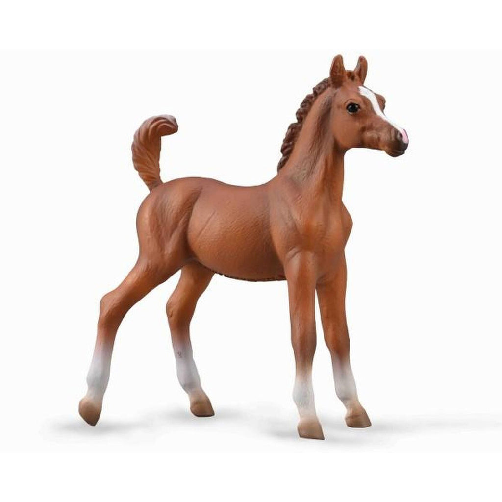 Arabian Foal - Chestnut