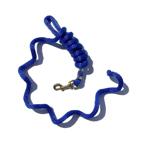 Flat lay view of royal blue lead rope. 