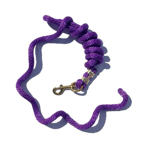Flat lay view of purple lead rope. 