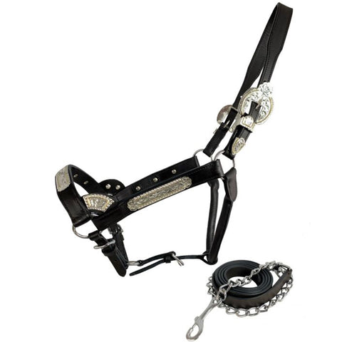 Showman Dark Oil Show Halter