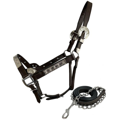 Showman Dark Oil Show Halter