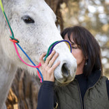 Horse wearing rainbow halter.