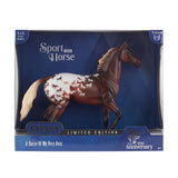 Sport Horse in Box