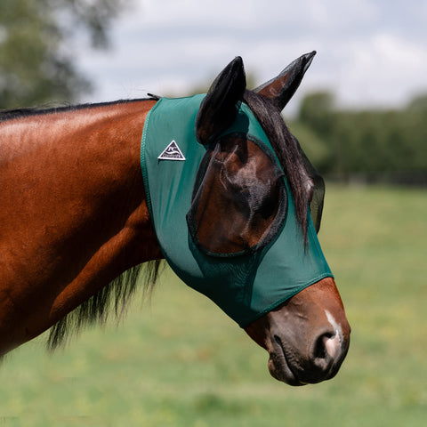 Emerald Lycra and Mesh Fly Mask