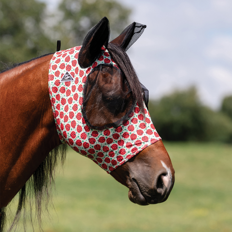 lady bug fly mask with ears