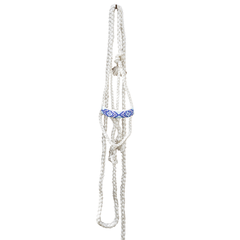 White braid halter with white and blue beaded nose band and ten foot lead.