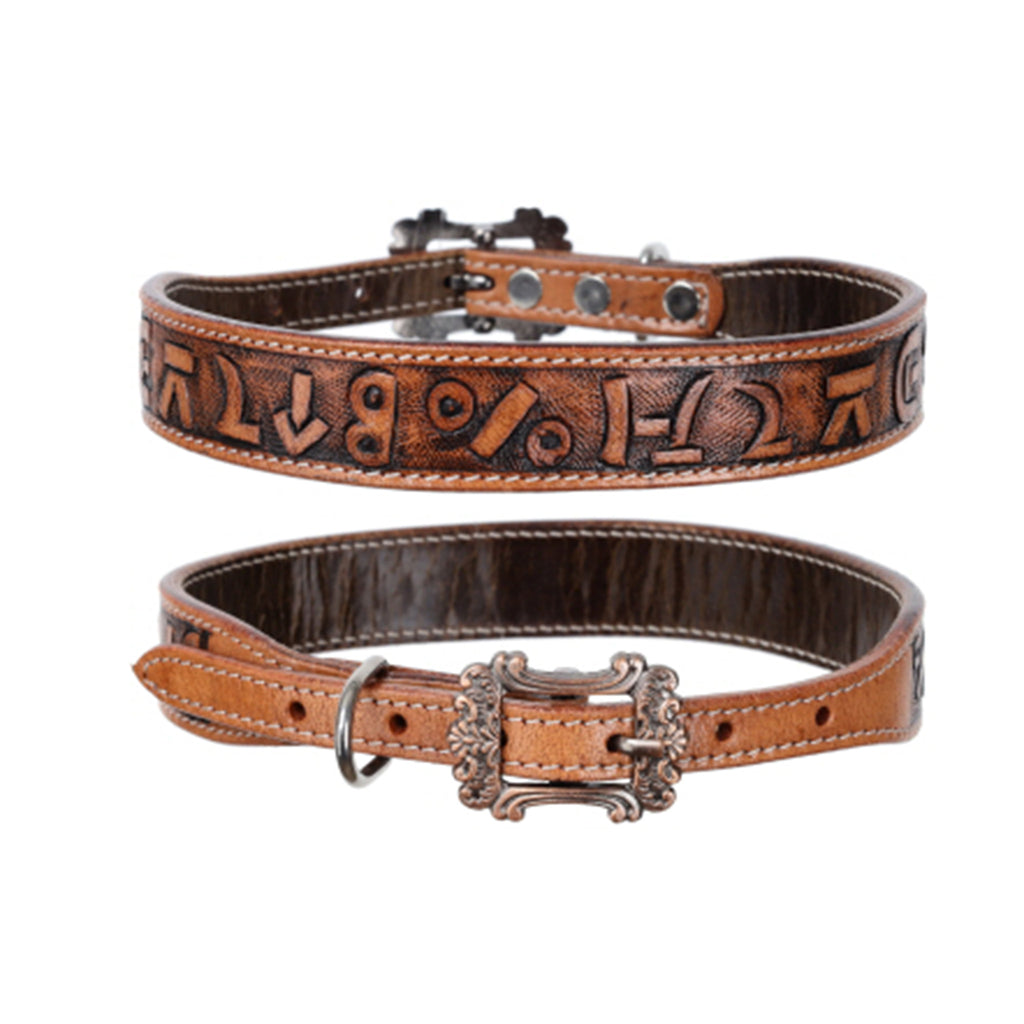 Showman Brandin' Pen Leather Dog Collar