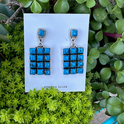 "Emerie" Kingman 13 Stone Earrings