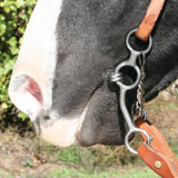 Equisential Long Shank in Horses mouth