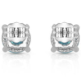 Fancy Blue Studded Earrings- Back View