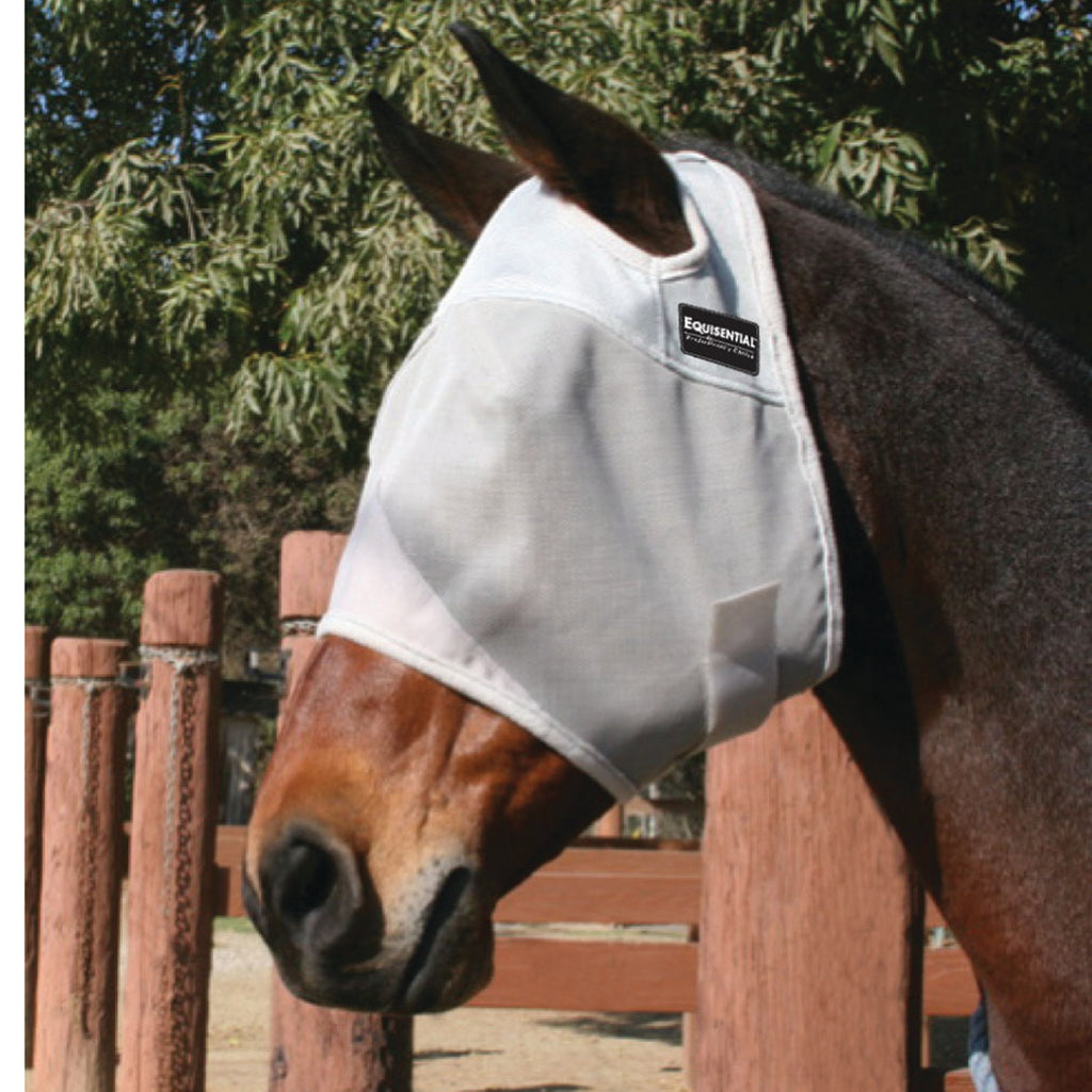 grey fly mask no ears