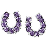 Purple  rhinestone Horse shoe earring  - Single