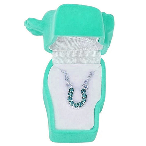 Horseshoe Necklace in Aqua In Box