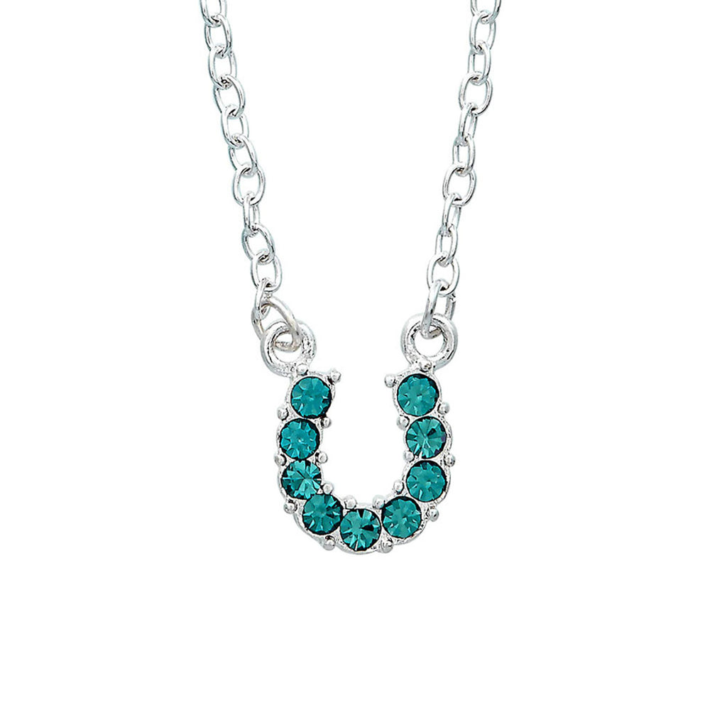 Horseshoe Necklace in Aqua