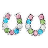 Multi Color  rhinestone Horse shoe earring   - Single