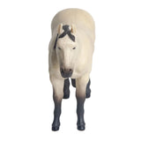 Little Buster Buckskin Quarter Horse Front View