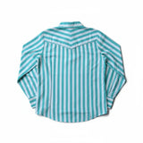 Men's Turquoise & White Stripe Performance Long Sleeve Shirt