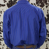 Back of the shirt has a western yoke. 