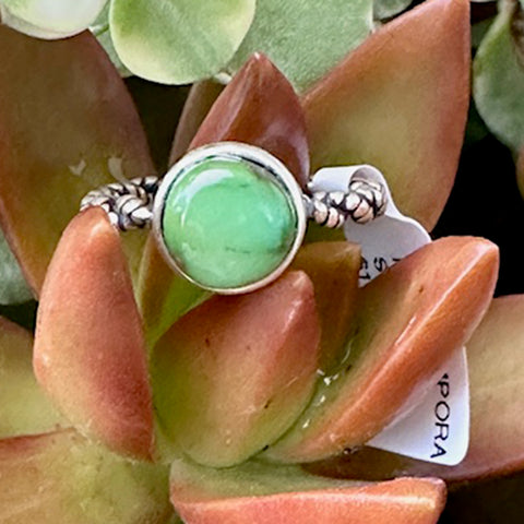 Sterling Silver Twisted Rope Ring with a green Kingman Stone, on a succulent plant