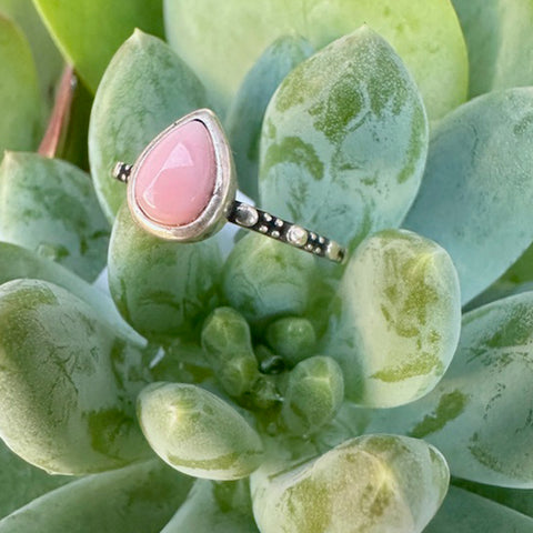 Sterling Silver Ring with a pink conch stone on a green succulent plant