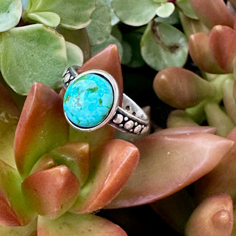Sonoran Gold Turquoise ring with silver band on a succulent plant