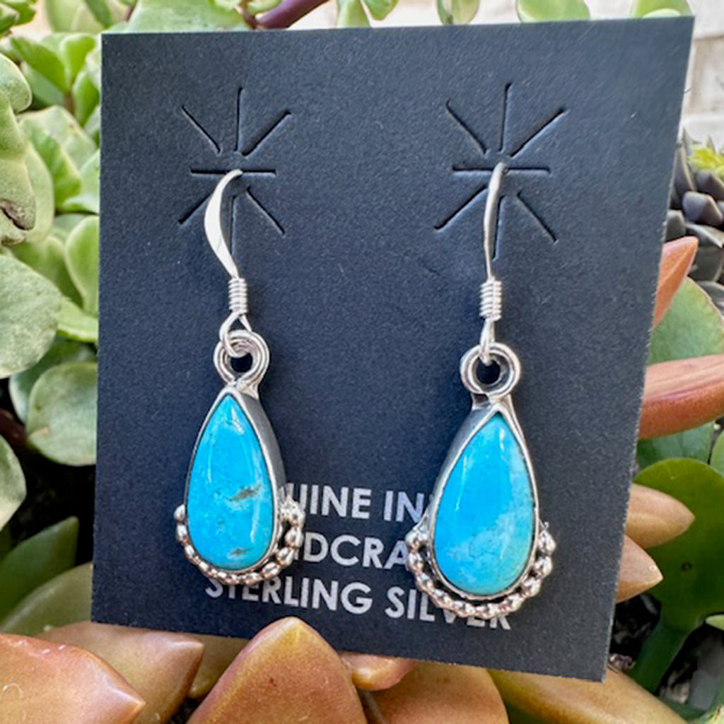 Turquoise teardrop earrings on a black card with plant background