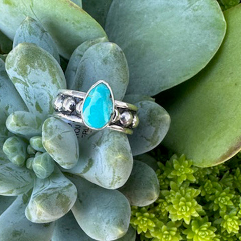 Silver ring with a Kingman turquoise stone on a succulent plant