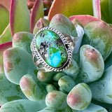 "Alice" Sonoran Gold Oval Ring