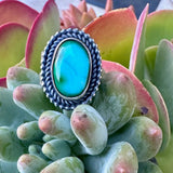 Royston ring with silver rope boarder on a sterling silver  band on a succulent plant