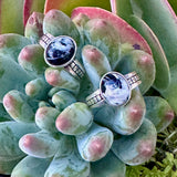 Two silver rings with White Buffalo Stones on a succulent plant