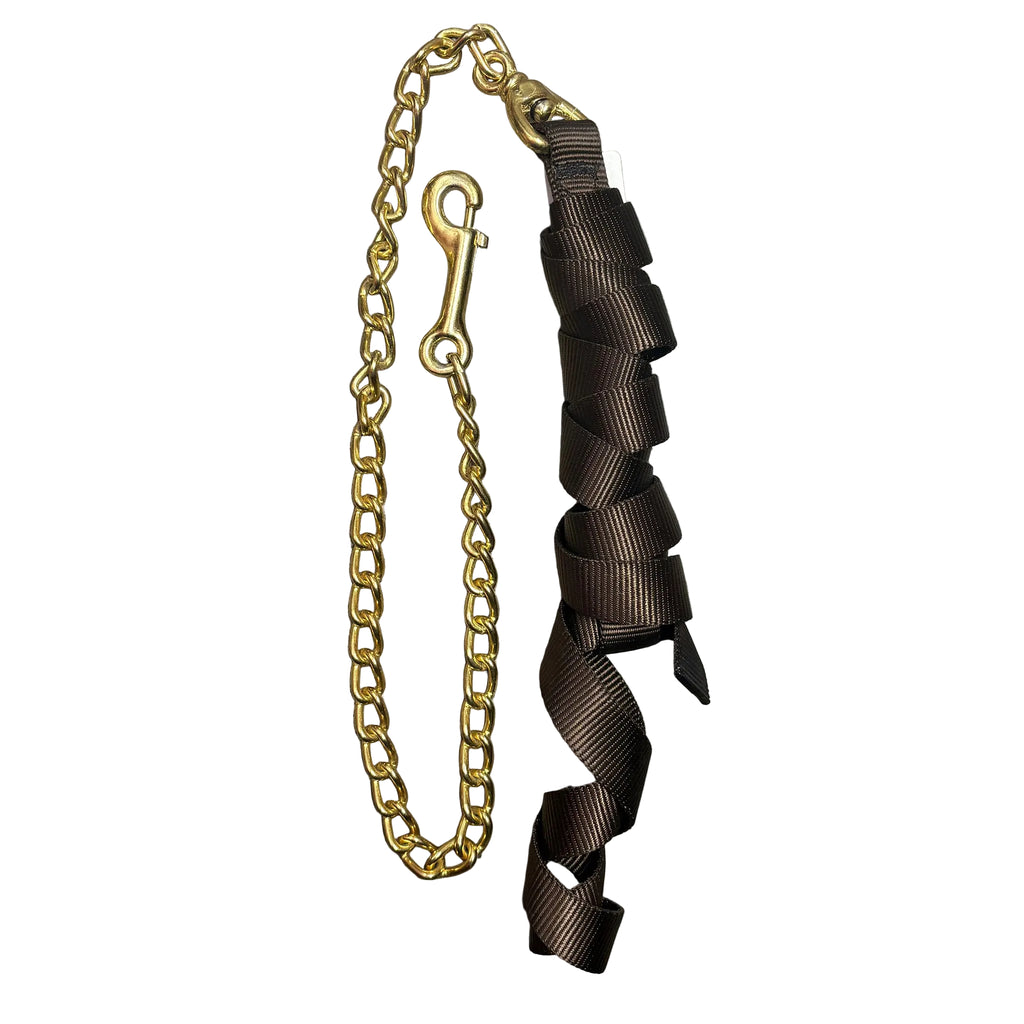 Flat lay of coiled up lead rope with chain. 
