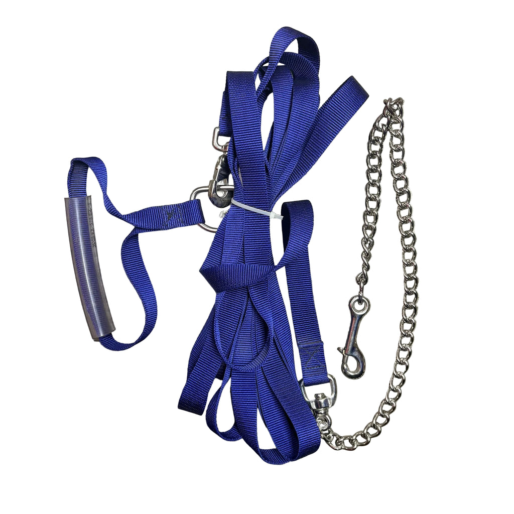 Flat lay of blue lunge line coiled up with chain attached and sitting next to it. 